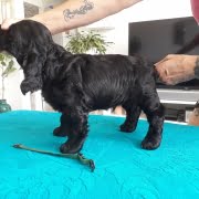 64856763_10214225224484172_586473420582027264_o