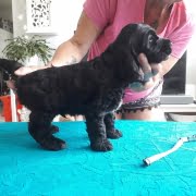 64923634_10214225254164914_2338126633405251584_o