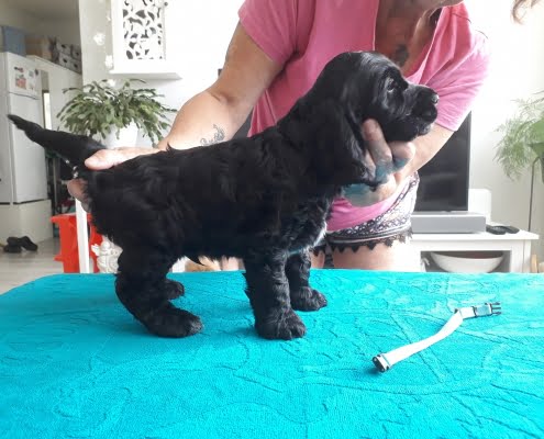 64923634_10214225254164914_2338126633405251584_o