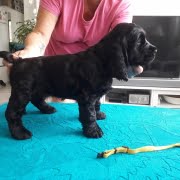 65040745_10214225217043986_8937137755343814656_o (1)