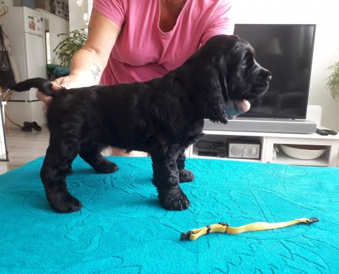 65040745_10214225217043986_8937137755343814656_o (1)