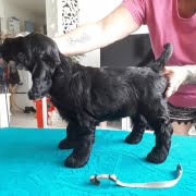 65231068_10214225125121688_1128880992103170048_o