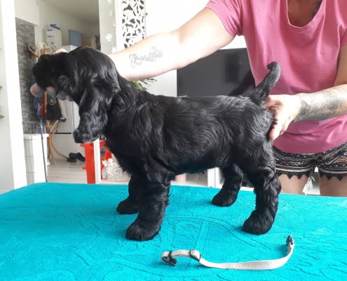 65231068_10214225125121688_1128880992103170048_o